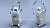 2012 Most Popular Cryolipolysis Fat Reduction Cryolipolysis Machines